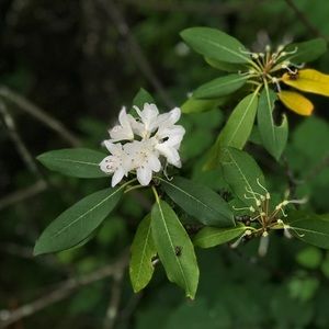 Meet your Posher, Chloe